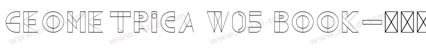 Geometrica W05 Book字体转换